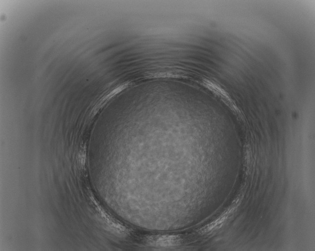 X0000066520841200603311752