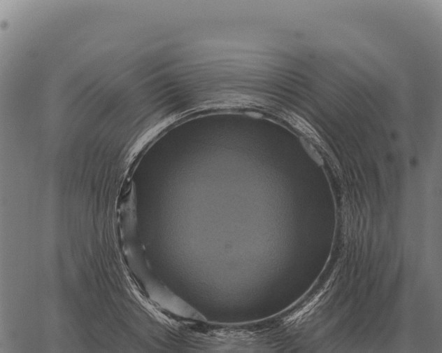 X0000066520842200603311752