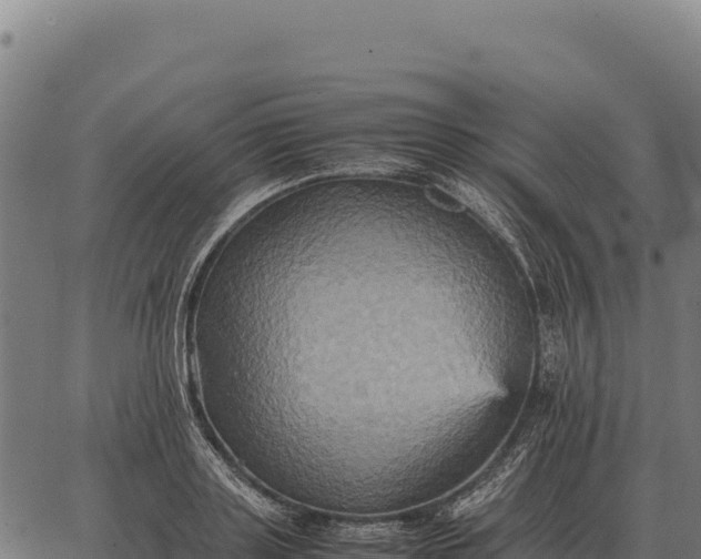 X0000066520843200603311752