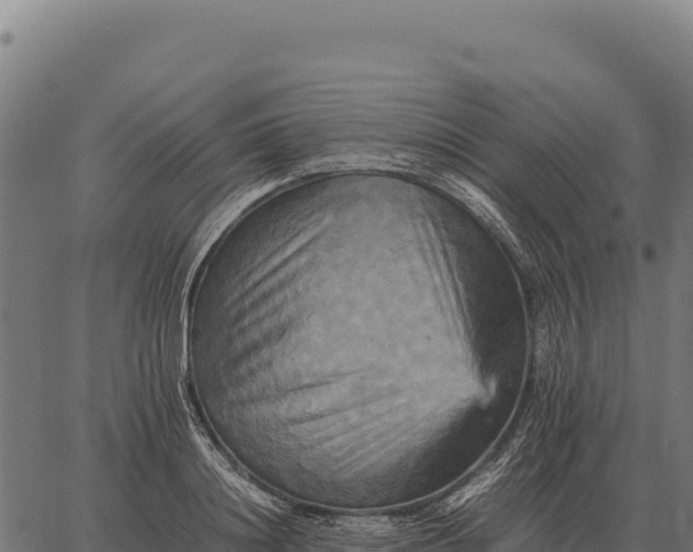 X0000066520844200603311752