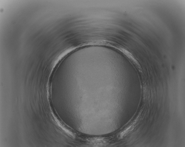 X0000066520846200603311752