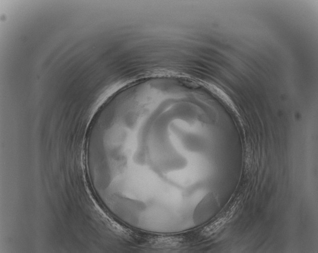 X0000066520847200603311752