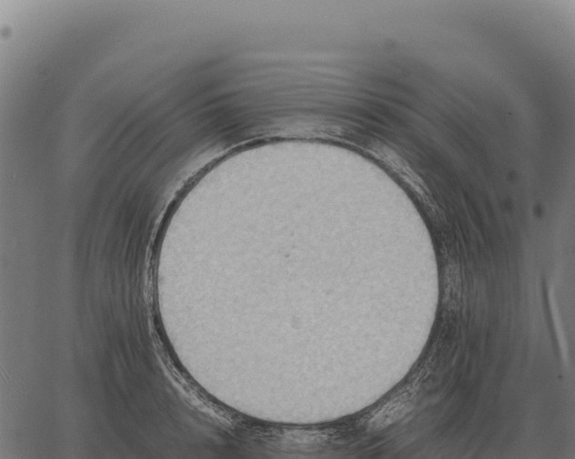 X0000066520848200603311752