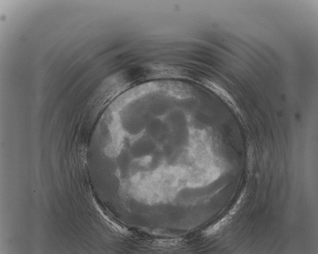 X0000066520849200603311752