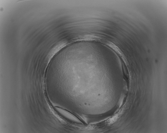 X0000066520850200603311752