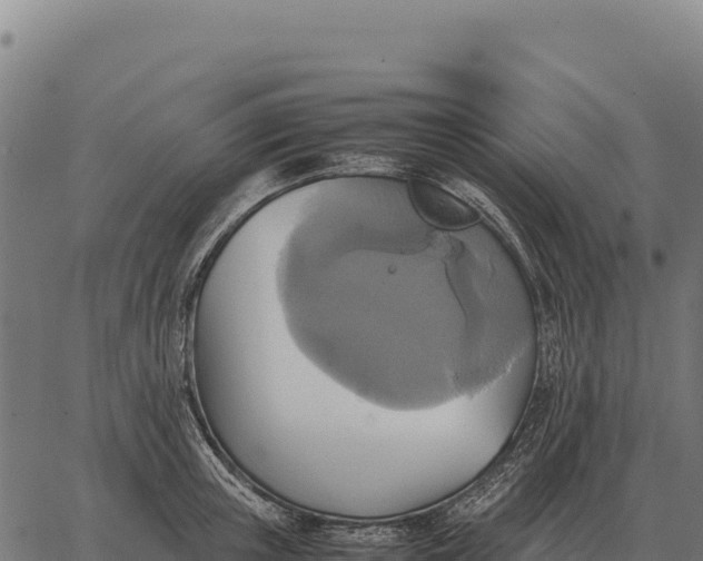 X0000066520851200603311752