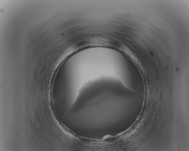 X0000066520853200603311752