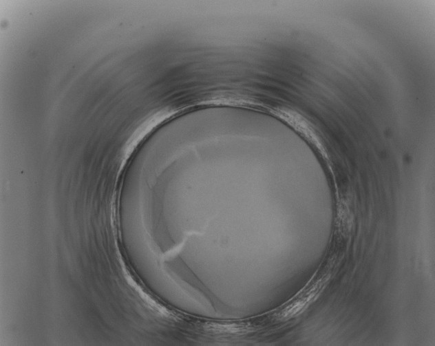 X0000066520855200603311752