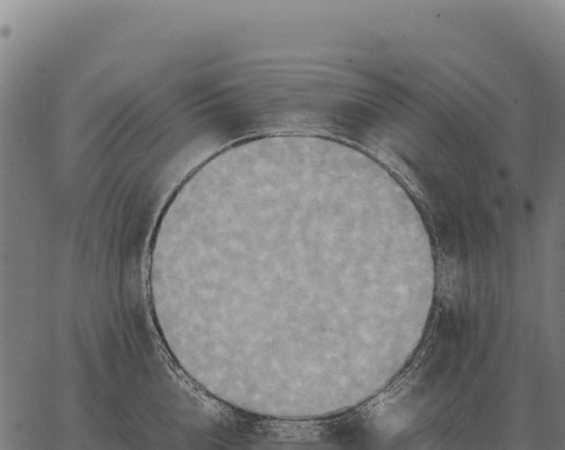 X0000066520856200603311752