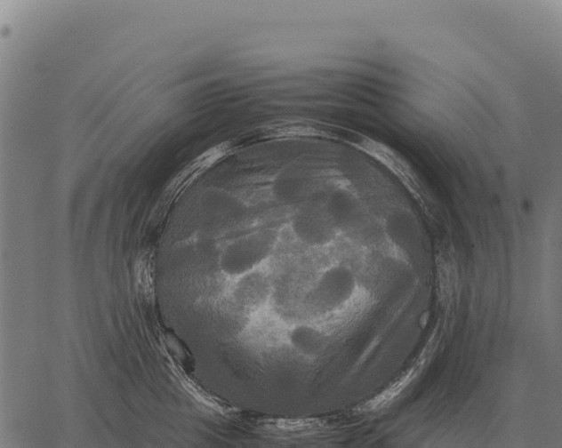 X0000066520857200603311752