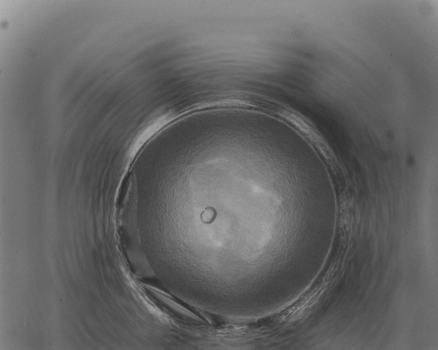 X0000066520858200603311752