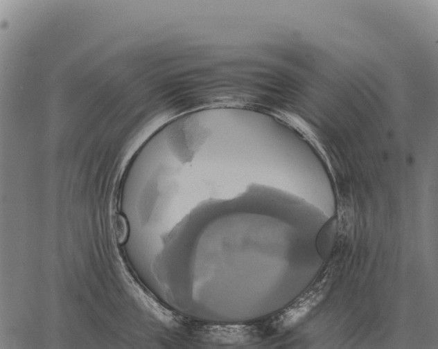 X0000066520859200603311753