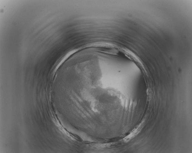 X0000066520860200603311753