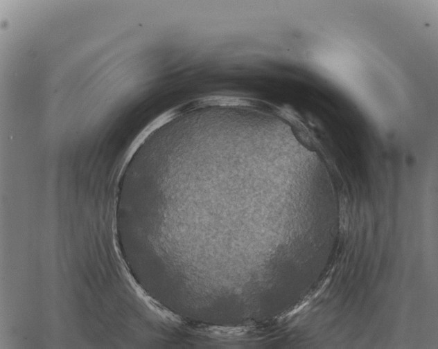 X0000066520861200603311753