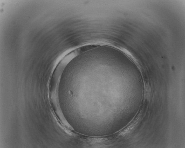 X0000066520862200603311753