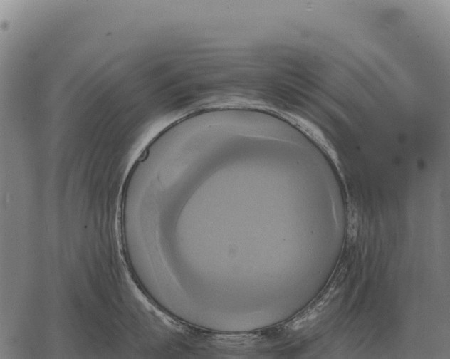 X0000066520863200603311753