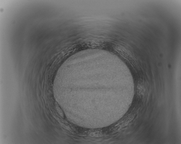 X0000066520865200603311752