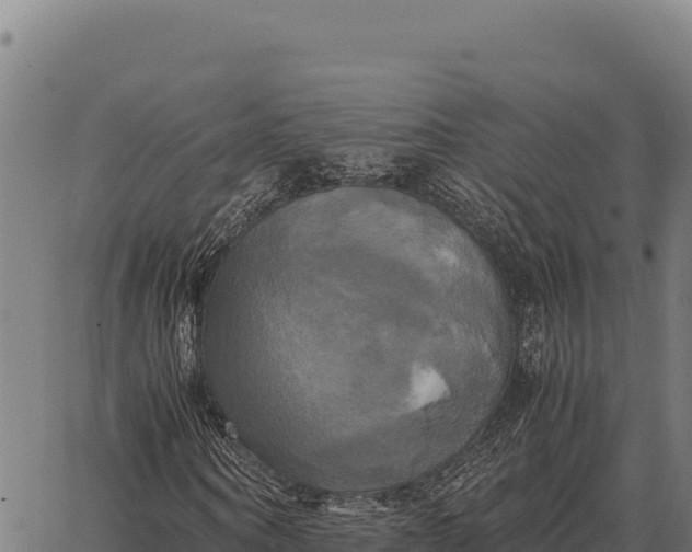 X0000066520866200603311752