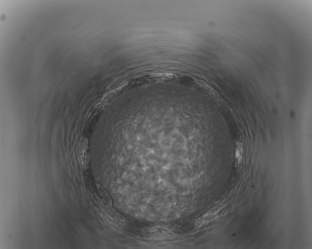 X0000066520867200603311752