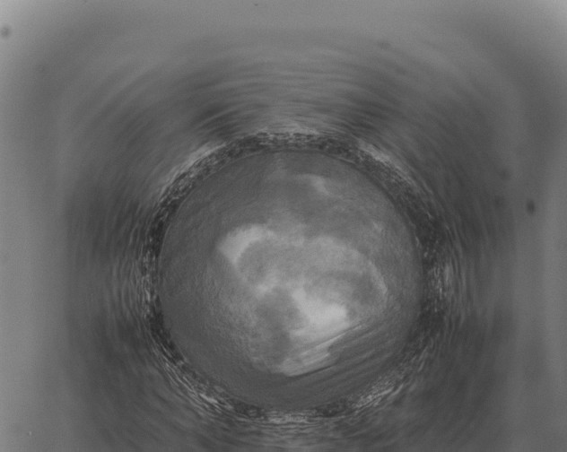 X0000066520870200603311752