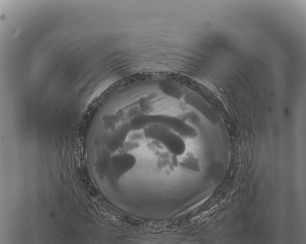 X0000066520871200603311752