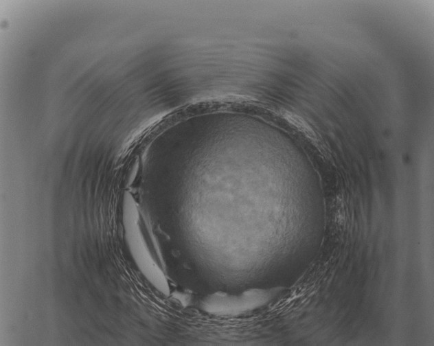 X0000066520872200603311752