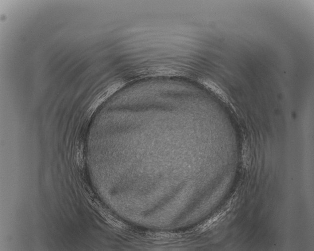 X0000066520873200603311752