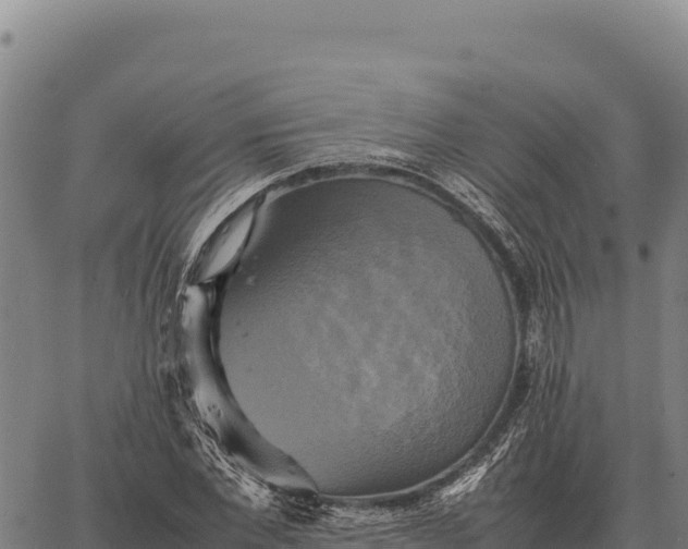 X0000066520877200603311752