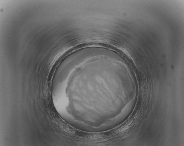 X0000066520879200603311752