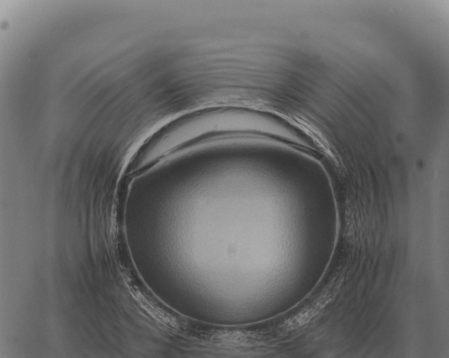 X0000066520880200603311752