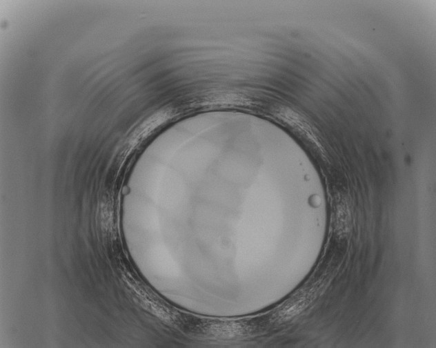 X0000066520882200603311752