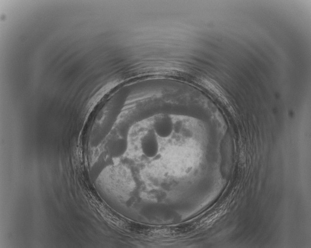 X0000066520883200603311752