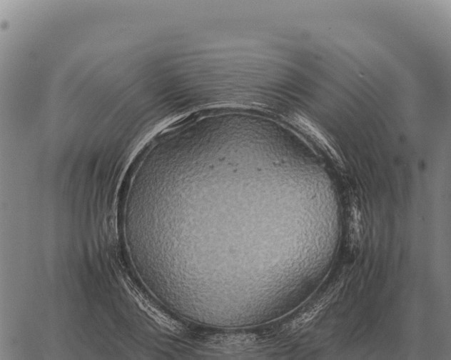 X0000066520884200603311752