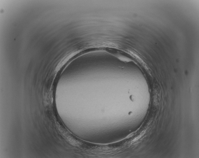 X0000066520885200603311752