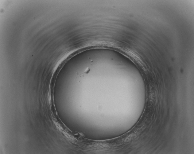 X0000066520888200603311751