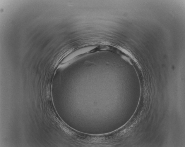 X0000066520889200603311751