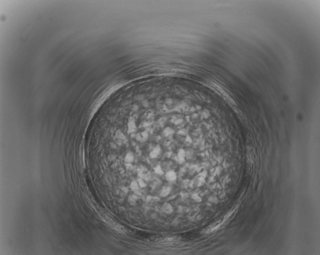 X0000066520891200603311751