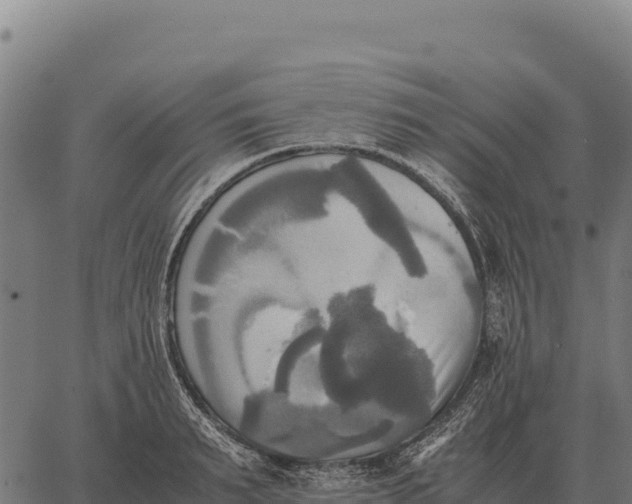 X0000066520895200603311751