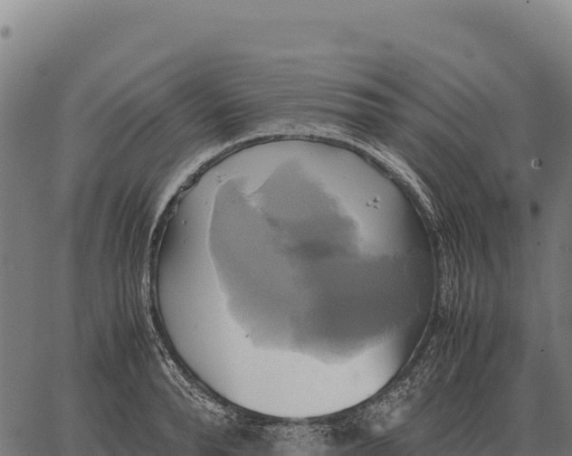 X0000066520896200603311751