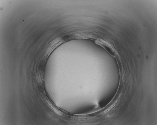 X0000066520897200603311751