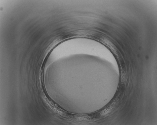 X0000066520899200603311751