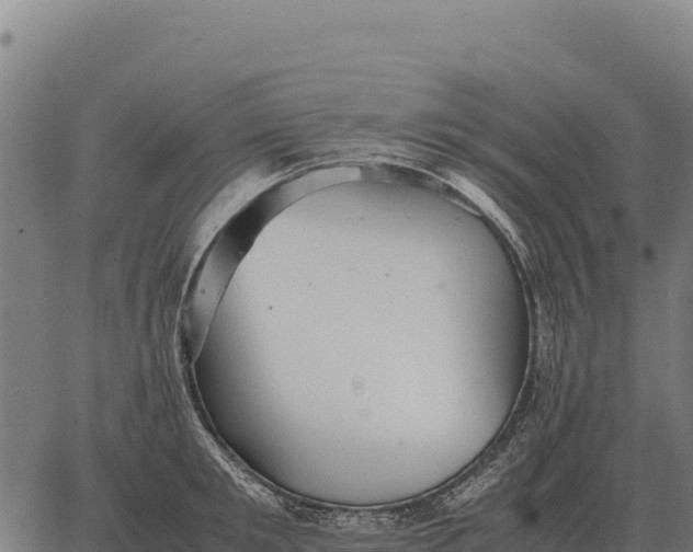 X0000066520901200603311751