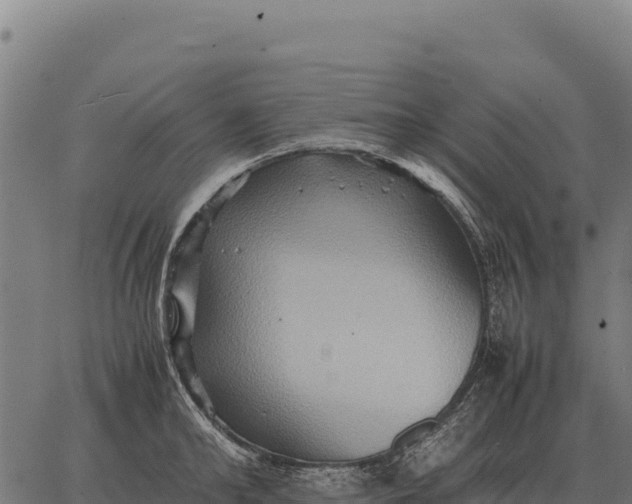 X0000066520902200603311751