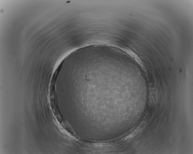 X0000066520904200603311751