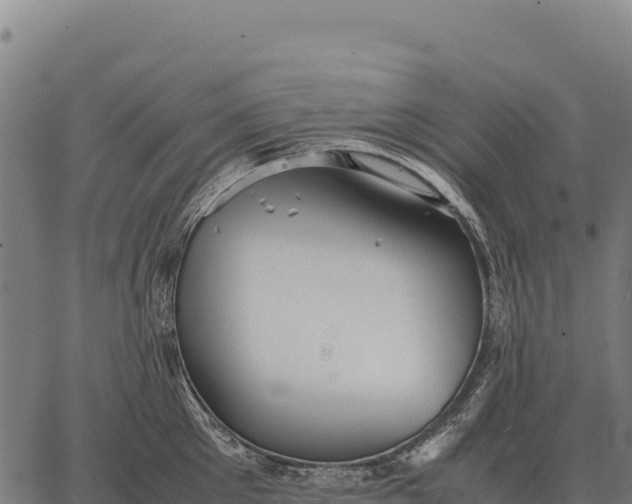 X0000066520905200603311751