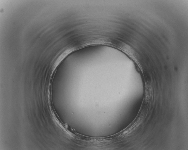 X0000066520906200603311751