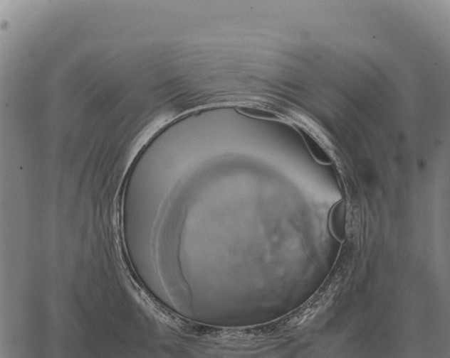 X0000066520907200603311751