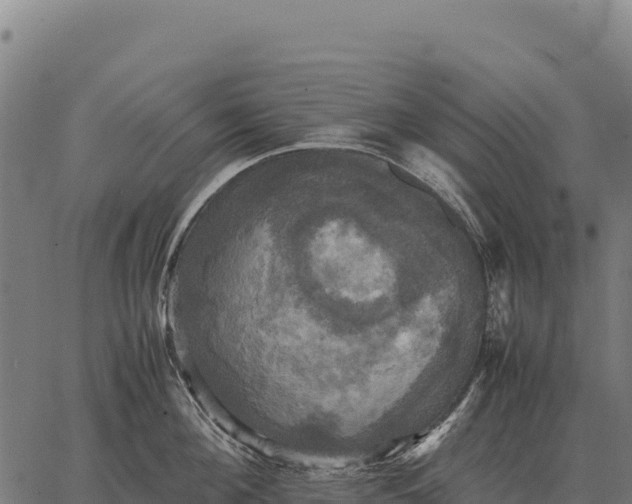 X0000066520908200603311751