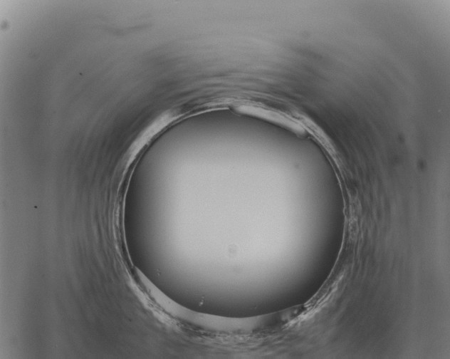 X0000066520909200603311751