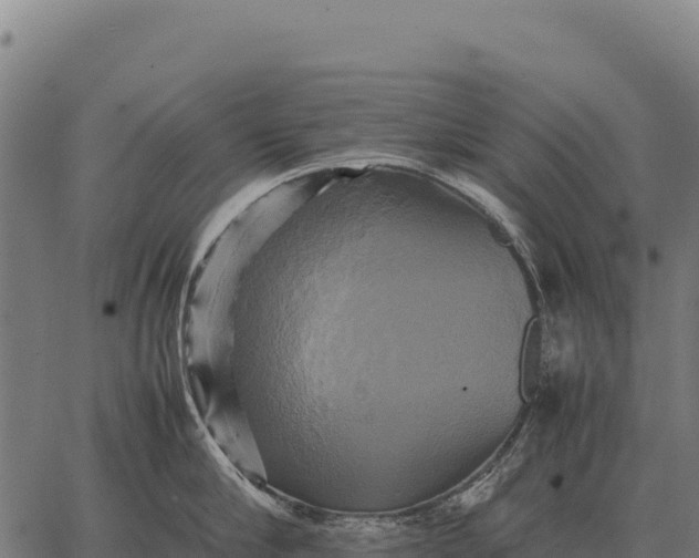 X0000066520910200603311751